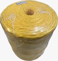 India Agricultura Banana Rafia Atar Cuerda PP Baler Twine Blanco Amarillo Agricultura PP Banana & Tomate Atar heno Baler Twine