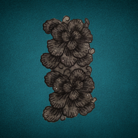 Dentelle de créateur luxueuse et écologique pour vêtements de mariée haut de gamme, motifs complexes, détails élégants, chaussures, sacs