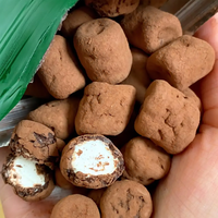 Fèves de chocolat moelleuses enrobées de cacao avec centre en guimauve, approvisionnement en vrac, emballage personnalisé, fabricant de confiseries