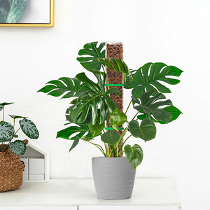 Poste de musgo modular en forma de D, recubierto de plástico, de 48 pulgadas, extensible con sistema de encaje a presión, para invernadero, soporte sencillo para plantas - Product Image 2