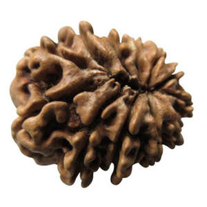 จี้พระรูดราคชา 12 หน้า ของแท้ 100% พร้อมใบรับรองจากเนปาล - Product Image 2