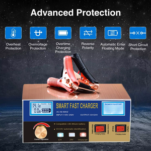 Cargador de Batería de Coche Inteligente con Pantalla LED, 12-24v, con Pinza de Terminal y Enchufe - Product Image 5