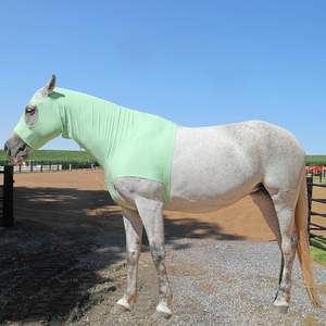 Protector de Crines de Caballo de Nailon de Alta Calidad, Capucha Elástica de Ajuste Suave, Abrigo para Brillo y Cuidado de Crines - Product Image 1