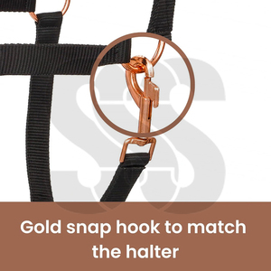 Arreos Ecuestres Hechos a Mano con Logotipo Personalizado OEM, de Alta Calidad y Durabilidad, Arnés Ajustable para Caballo, Opción de Cuero Genuino Suave - Product Image 3