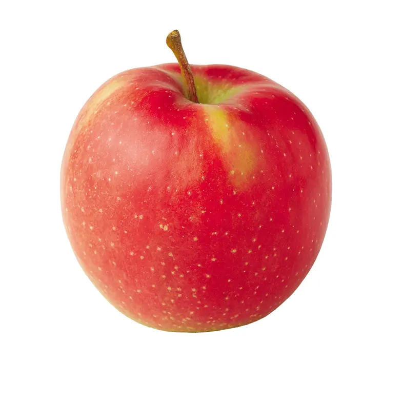 Großhändler und Lieferant von frischen Apfelobst Jonagold frisch gewürzte frische Äpfel beste Qualität online kaufen