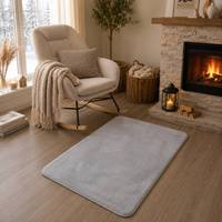 Tapis moderne en fausse fourrure gris clair, fabriqué à la machine, respectueux de l'environnement, adapté aux animaux domestiques, antidérapant, doux, 60x90 cm