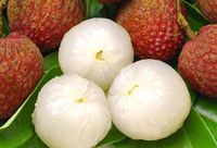 Ingeblikte lychees uit Vietnam - Beste prijs, hoogwaardige voeding, lichte siroop, 100% lychee, ISO-gecertificeerd, mevrouw Lucinda
