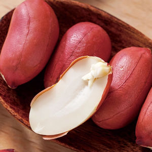 Núcleos Secos Crudos al por Mayor para Marcas de Snacks y Productores de Confitería - Suministro de Maní 100% Natural - Product Image 6