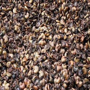 เวียตฟาร์กิเม็กซ์ เวียดนามส่งออกกาแฟคุณภาพพรีเมียม  จำหน่ายเปลือกกาแฟจำนวนมากโดยตรงจากเวียดนาม ในราคาที่ดีที่สุด อายุการเก็บรักษา 24 เดือน - Product Image 3