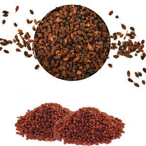 Espino amarillo seco | Desde bosques salvajes hasta mercados globales - Product Image 4