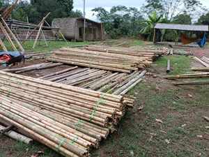 Tubo de poste de bambú duradero: diseñado para agricultura y construcción, de alta calidad de productores de Vietnam para exportación global - Product Image 3