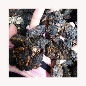 TRANCHES NON SÉCHÉES/ÉTIQUETTE PROPRE/À BASE DE PLANTES/FORME DE FRUITS NATURELS - Product Image 1