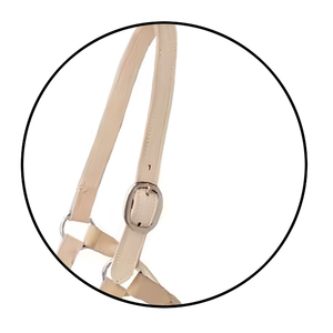 Licol en cuir de selle anglaise fabriqué à la main de qualité supérieure réglable durable avec entraînement rembourré doux utilisation quotidienne élégant confortable - Product Image 5