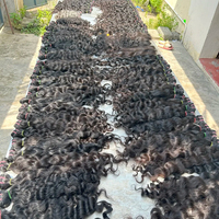 Cheveux Indiens Remy 100% Naturels Arrow Exim AEEXC30 Grade 12A Qualité Supérieure Double Trame Faite à la Machine Pèse 100 Grammes (3,5 Onces)