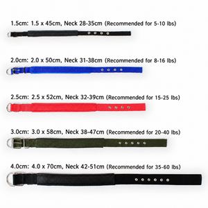 Adjustable Nylon Dog Collar Metal Buckle Pet Neck Strap for Training Walking - Product Image 2