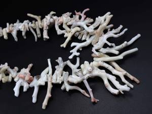 Collar Japonés de Coral Blanco, Cuentas de Palo Pulidas de 18 Pulgadas, Joyería de Rama Blanca Natural para Fiesta con Perla como Piedra Principal - Product Image 4