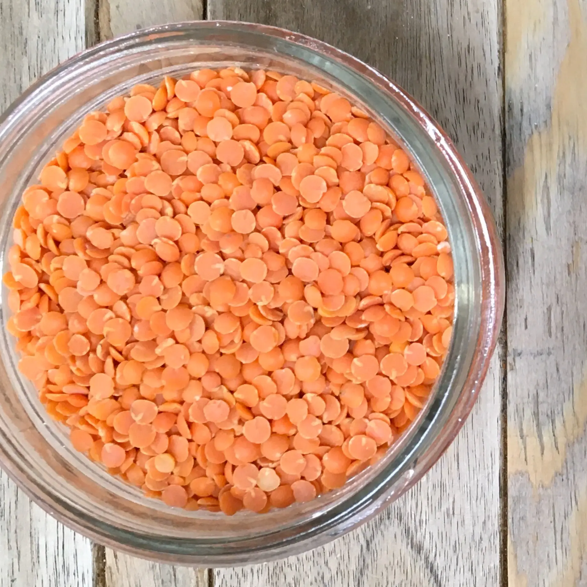 Buy High Quality Red Lentils /Green Lentils /Yellow Lentils all for sale at Wholesale price Rate