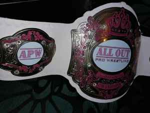 Cinturones de campeonato Trofeos Medallas y premios el símbolo definitivo de Victoria y excelencia Cinturones de Campeonato - Product Image 5