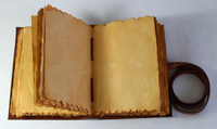 Fait à la main Antique Deckle bord papier Vintage cuir Journal serrure fermeture Grimoire Journal sorcière Journal