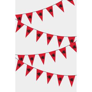 Guirnalda de Banderines Triangulares de Albania con Logotipo Personalizado Impreso Digitalmente en Poliéster, Seda y Plástico, Estilo Bandera Arcoíris - Product Image 1