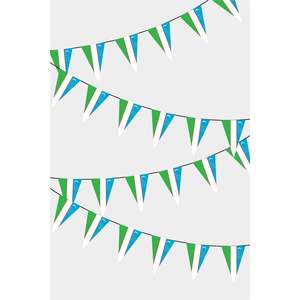 Ouzbkistan Triangular Flag Garland Digital Printing Made of Plastic Polyester and Silk - Product Image 1