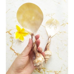 Juego de Servir Ensaladas de Nácar y Conchas Marinas de Alta Calidad, Ecológico, Apto para Lavavajillas, Regalo de Inauguración, Utensilios para Ensaladas - Product Image 6