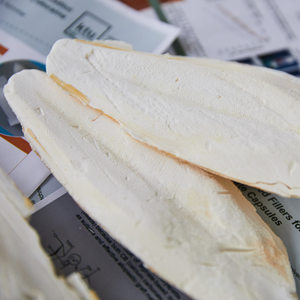 HUESO DE SEPPIA DE VIETNAM - LISTO PARA ENVÍO INTERNACIONAL - Product Image 1