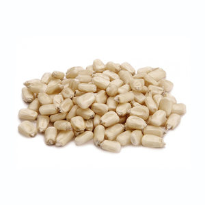 ข้าวโพดขาวพรีเมียมสำหรับการค้าส่งในระบบซัพพลายเชน - Product Image 2