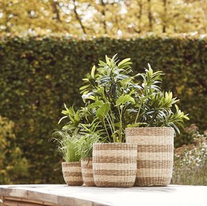 Maceta de rafia para decoración del hogar, maceta de decoración de algas marinas naturales para plantas de interior, plantas de mimbre de paja y macetas de flores - Product Image 6