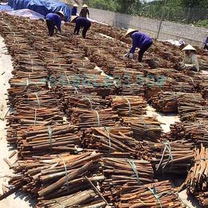 MEILLEURE QUALITÉ CASSIA CANNELLE BÂTON Fleurs Séchées Style Du Viet Nam-Vente en gros à prix bon marché - Product Image 4