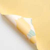 Papier d'emballage pour bouquets imperméable en gros, feuilles de papier d'emballage floral pour fleuristes, emballage cadeau pour bouquets