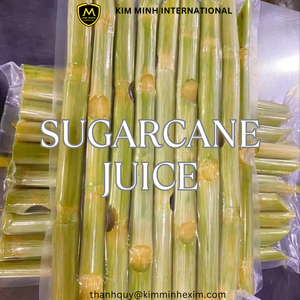 น้ำอ้อยแช่แข็งผลไม้และน้ำผักผลไม้สดข้นจากเวียดนาม - Product Image 1