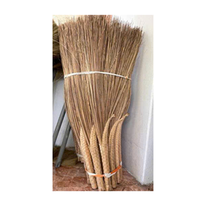 Escoba de Fibra Natural de Coco para Uso Múltiple - Product Image 1