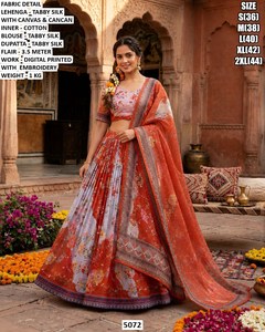Noor-e-Zyana <b>lehenga</b> - Product Image 3