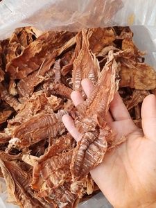 Brote de bambú seco y seco de buen olor de fábrica, precio competitivo - Product Image 6