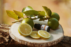 Huile Essentielle Liquide 100% Pure de Feuille de Mandravasarotra SARO Cinnamosma Fragrans, Note Boisée-Épicée, Durée de Conservation de 3 Ans - Product Image 2