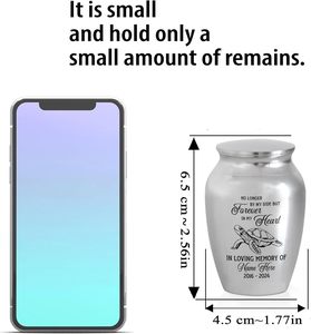 Urna de cremación conmemorativa para mascotas de tortuga plateada de tamaño personalizado, recuerdo de Metal personalizado para recuerdos de cenizas de un ser querido, regalos para - Product Image 2