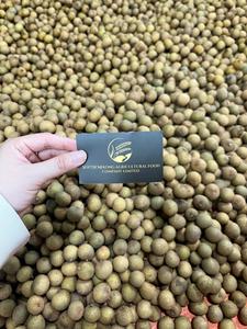 Fruta Longan fresca de alta calidad al por mayor para restaurantes al por menor y exportación con gran sabor y aroma - Product Image 4