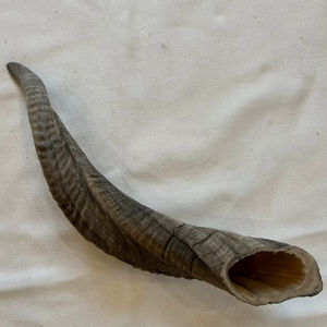 เขาแกะแท้ ขัดเงาธรรมชาติ สำหรับตกแต่งและงานฝีมือ คุณภาพสูง - Product Image 1