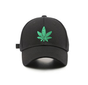 Gorra de Béisbol de 6 Paneles con Logotipo, Gorras Deportivas de Golf Ajustables, Gorras Personalizadas con Bordado de Alta Calidad, Recuerdo Unisex para Adultos y Niños - Product Image 4