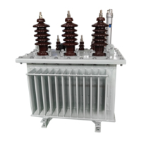 Transformateur de distribution immergé dans l'huile monté sur poteau APEX S13 50-630 kVA 11-33 kV/400-415 V pour réseau public aérien IEC 60076