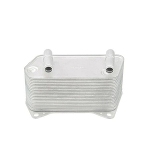 Remplacement compatible du refroidisseur d'huile de transmission pour 04-09 Audi TT Quattro 3.2 litres V6-02E409061C - Product Image 1