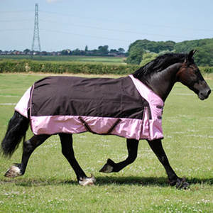 Azul claro 100g Relleno Impermeable Caballo Alfombra 600d Tamaño de Participación 5 '3 "-6' 9" - Product Image 5