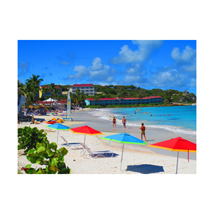 Troncos de haya de calidad superior para artículos de madera duraderos y hermosos disponibles a granel - Product Image 5