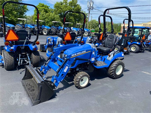 Compre hoy mismo un tractor Hollands Workmaster 25S nuevo/usado y disfrute de una entrega rápida. Tractor de calidad premium para todas las necesidades agrícolas a un precio asequible. - Product Image 2