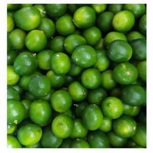 Offre spéciale citron vert frais Excellent pour la cuisine tropicale fraîche citron vert frais agrumes sans pépins juteux avec qualité d'exportation et arôme frais - Product Image 2