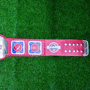 Wwe World Heavyweight Championship Title Belt World Heavyweight Championship Big Gold Wrestling Belt Tamaño 4Mm Ronpex - Product Image 4