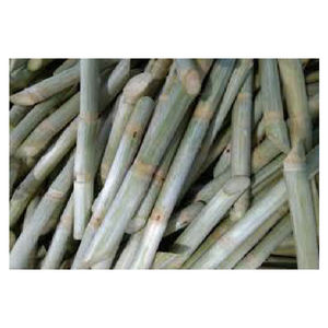 อ้อยออร์แกนิกสด - รสธรรมชาติจากสวนอ้อยเวียดนาม - Product Image 6