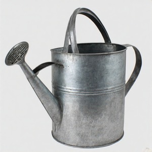Arrosoir de jardin galvanisé avec aspect classique en étain, poignée ergonomique et détails décoratifs pour correspondre aux thèmes rustiques - Product Image 6