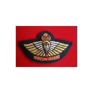 Écussons d'aviateur Riddle Airlines en argent massif - Product Image 1